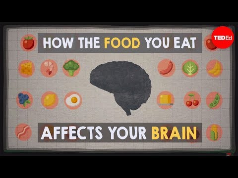 How the food you eat affects your brain – Mia Nacamulli